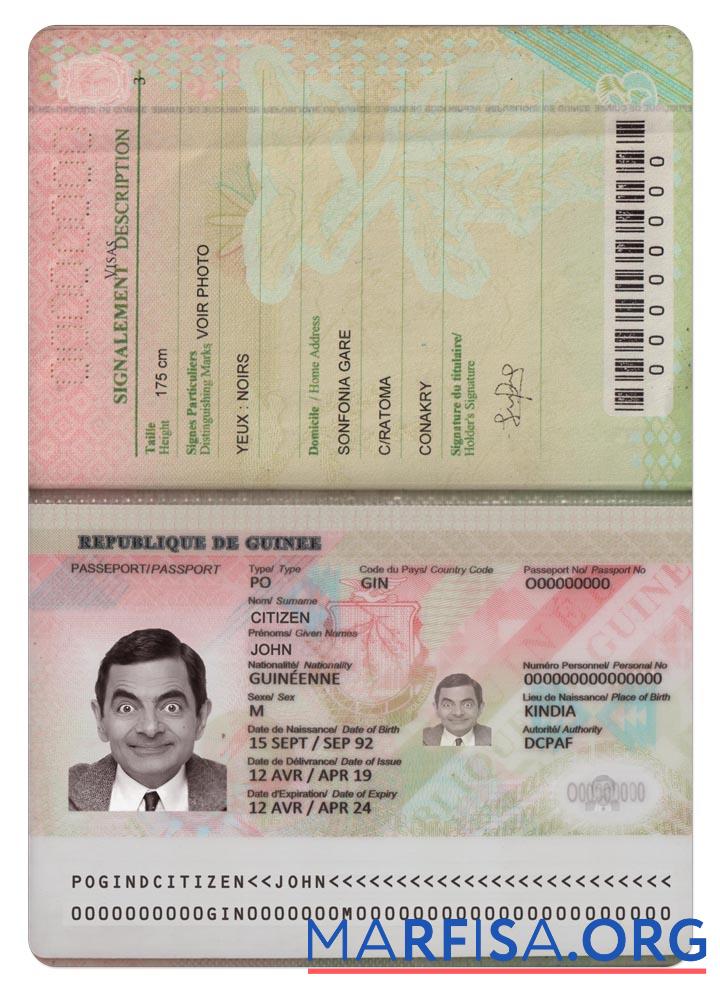 Downloadable Guinea passport (2018 present) sample